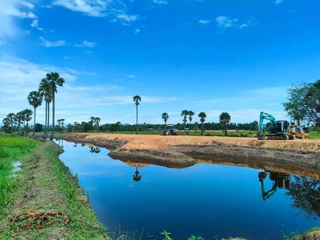 ขายที่ดิน 8 ไร่ บรรยากาศทุ่งนา ติดคลองน้ำ Mong du na Phetchaburi มองดูนา เพชรบุรี 