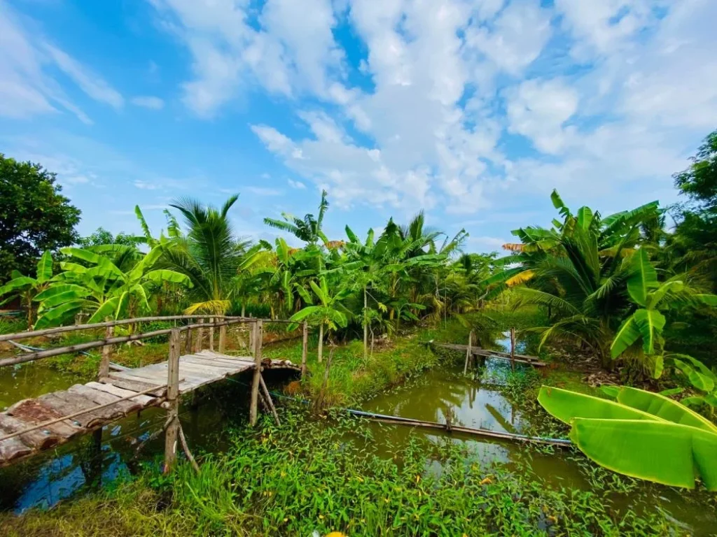 ขายที่ดิน ไร่ นา สวนผสม 5 ไร่ พร้อมบ้าน เมืองหงส์ จตุรพักตรพิมาน ร้อยเอ็ด