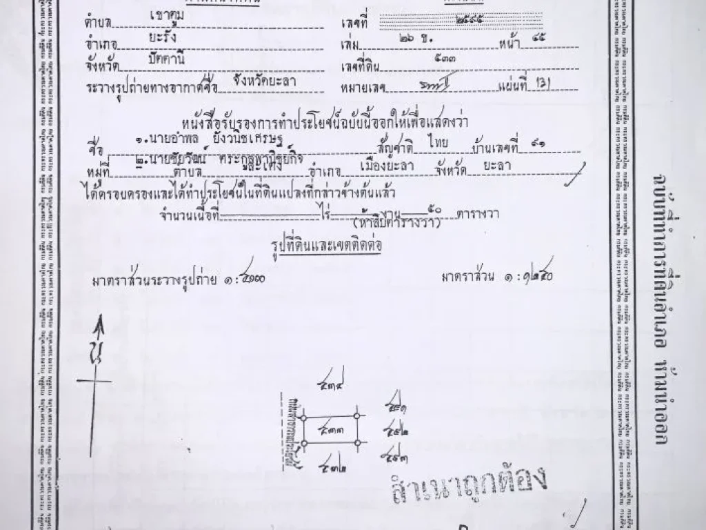 ขายด่วน ที่ดินยะลา ใกล้วัดสวนใหม่ ขายที่ดินแปลงนี้