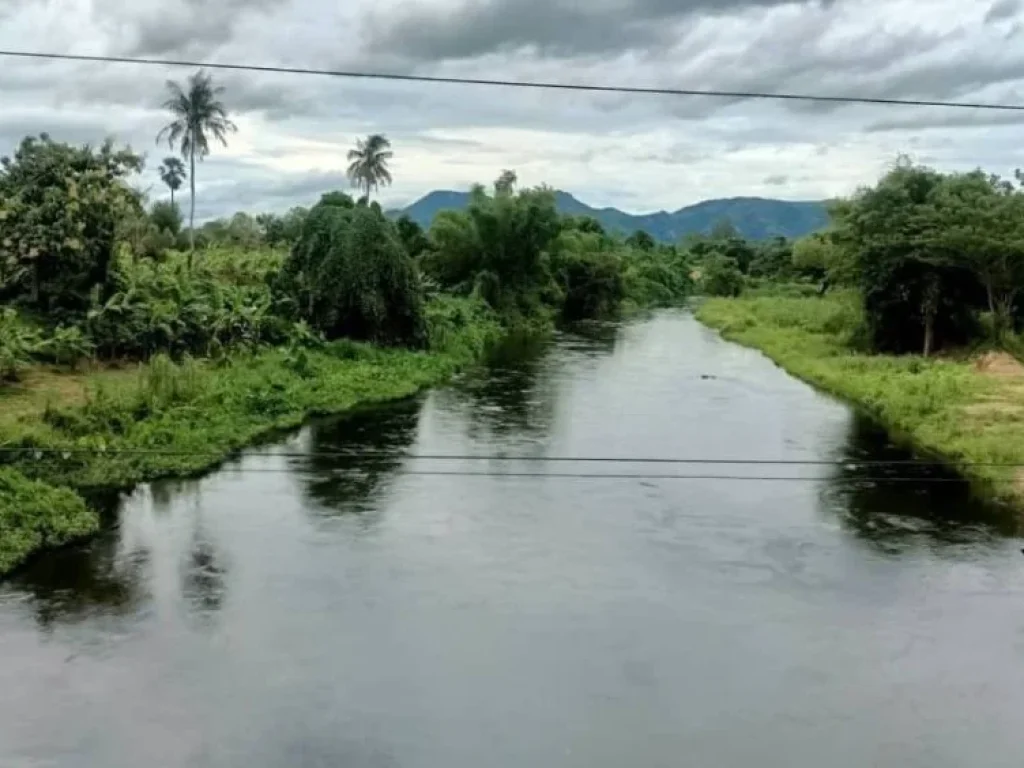 ขายที่ดิน ติดแม่น้ำเพชรบุรี ขนาด 2-3-23 ไร่แบ่งได้ขั้นต่ำ 1ไร่ วิวเขา วิวน้ำ สวยงาม กลัดหลวง ท่ายาง เพชรบุรี