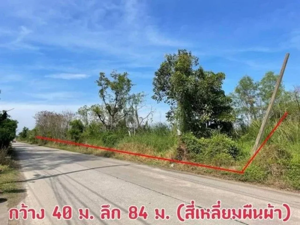 ที่ดิน รังสิต-นครนายก คลอง6 ถนนคลองหกตะวันออก58 คลองหลวง ปทุมธานี