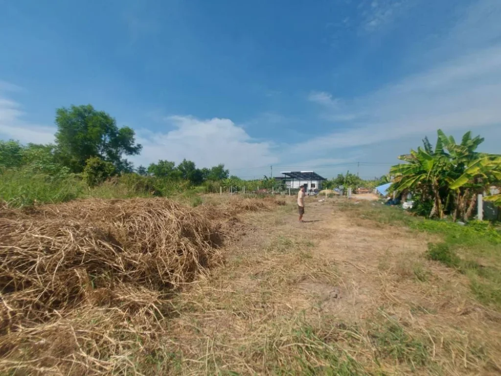 แบ่งขายที่ดินเปล่า ถนนคลองเก้าหนองจอก 100 ตรวและ 60 ตรว