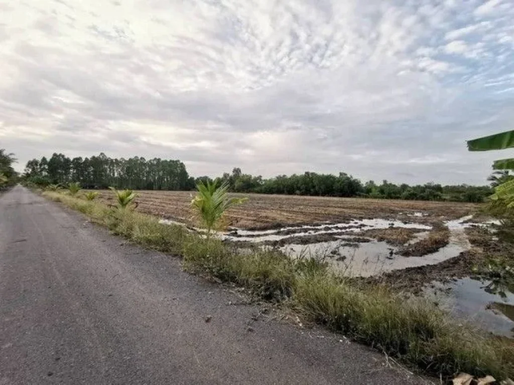 ที่ดินคลอง 10 เลียบคลองฝั่งตะวันตก ซอยเทศบาล5 หนองเสือ จปทุมธานี