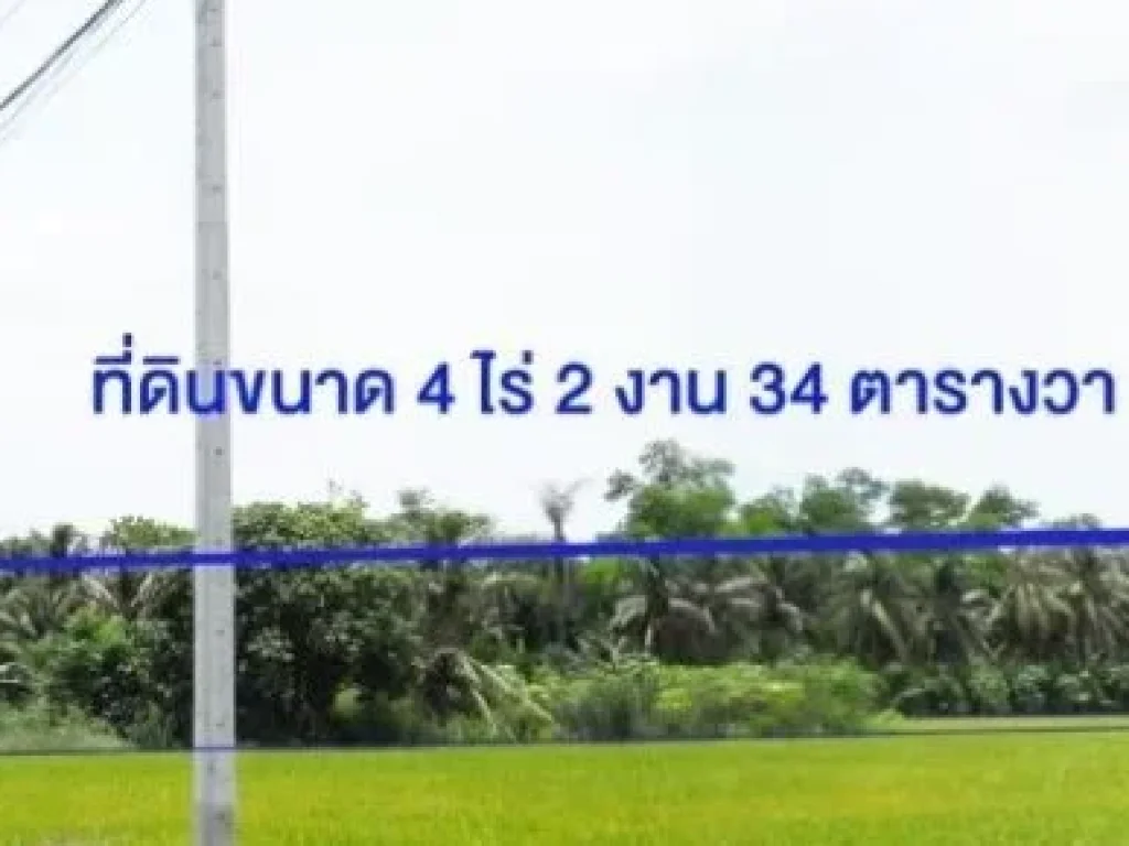 ขาย ที่ดิน 4-2-34 ไร่ ลาดหลุมแก้ว ปทุมธานี ดินดี ติดถนนคอนกรีต