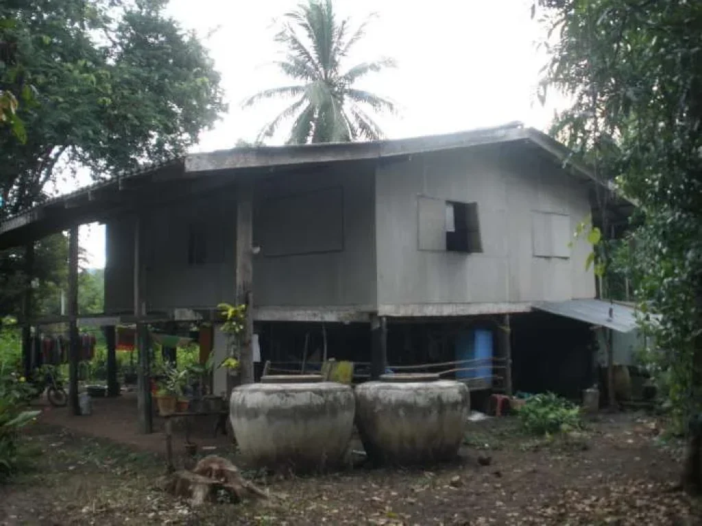 ขายที่ดิน 1 ไร่ ตรงข้ามสำนักงานนิคมสหกรณ์ทองผาภูมิ 1 ล้าน