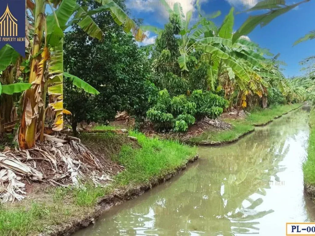 ที่ดินสวนผลไม้ ถนนเลียบคลองสาม ด้านหน้าติดถนนคอนกรีต หนองเพรางาย ไทรน้อย นนทบุรี