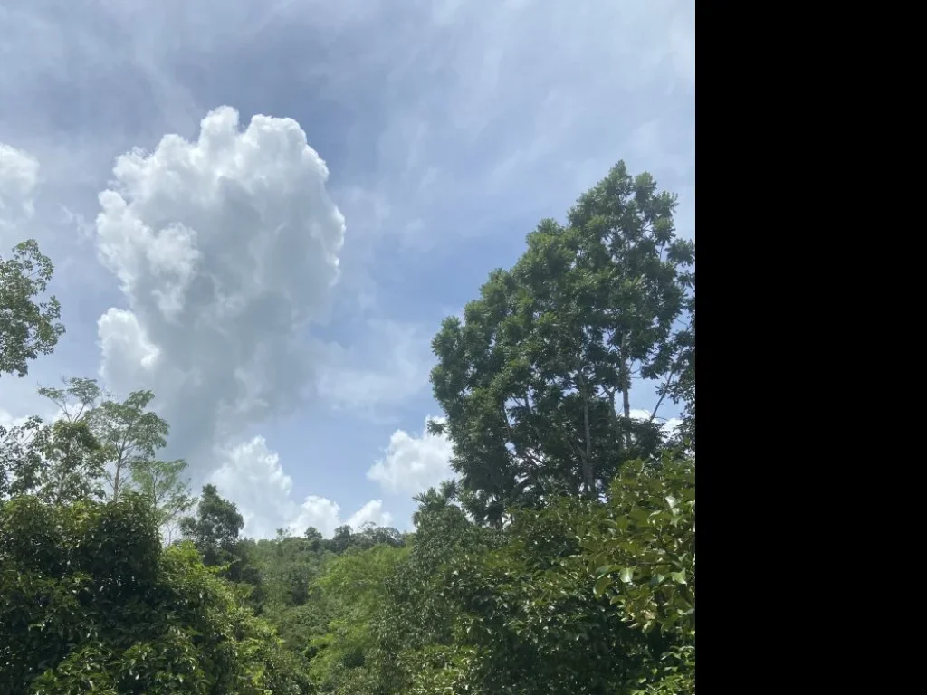 ขายที่ดิน 24 ไร่ติดถนนลาดยาง พร้อมบ้านสองชั้น 1 หลัง อนาทวี ตท่าประดู่ จสงขลา