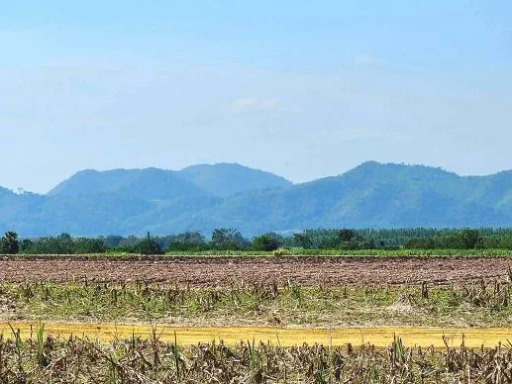 ขายที่ดินเปล่าแบ่งขาย วิวภูเขา โฉนดครุฑแดง นส4จ 