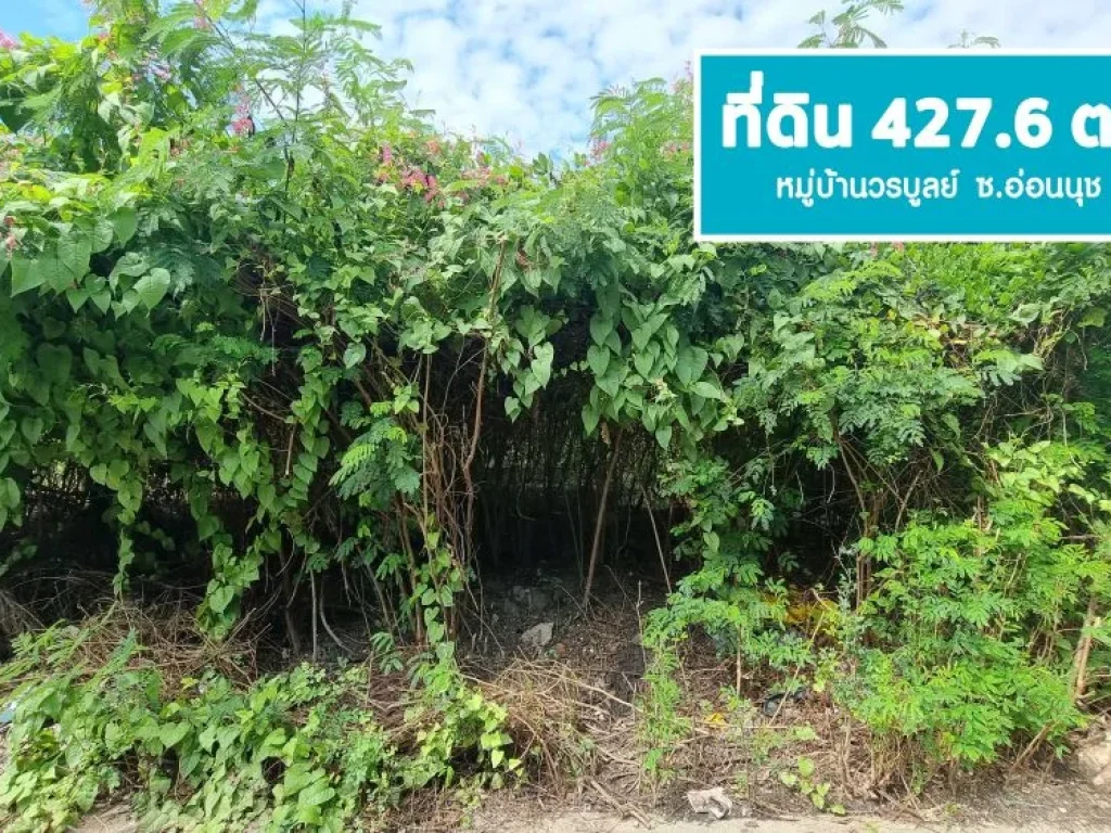 ขายที่ดิน 4276 ตรว มวรบูลย์ อ่่อนนุช44 สุขุมวิท 77 แปลงสวย ถมแล้ว