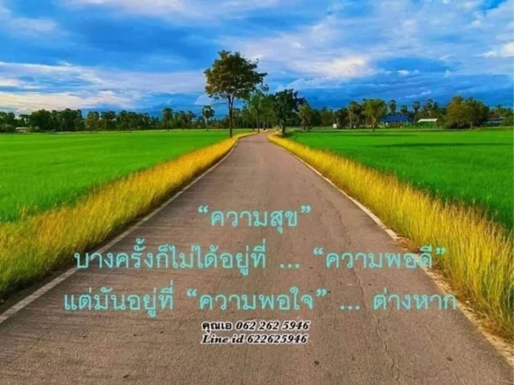 ขายที่ดินเพชรบุรี โครงการเดอะฮิล วิวเขาสวย ท่ามกลางขุนเขา สายน้ำ เขาทะโมน-เพชรบุรี