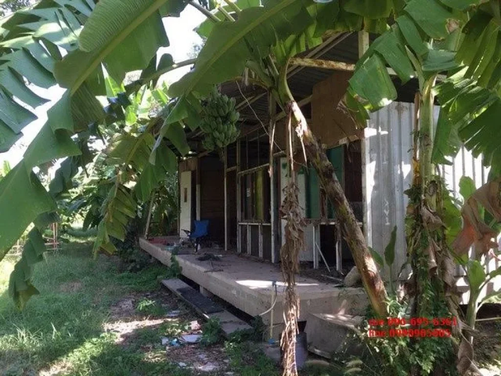 ขายที่ดิน ติดถนนกาญจนาภิเษก ตรวละ 15000 บาท Land for sale at Kanchanapisek road