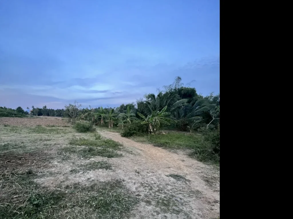 ขายที่ดินสวนด้านหน้าติดถนนคอนกรีตด้านข้างติดแม่น้ำกุยบุรี