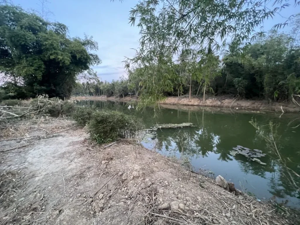 ขายที่ดินสวนด้านหน้าติดถนนคอนกรีตด้านข้างติดแม่น้ำกุยบุรี