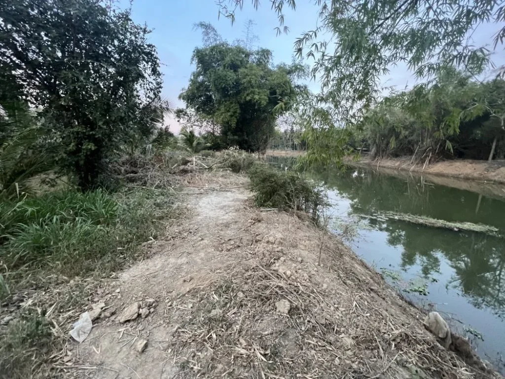 ขายที่ดินสวนด้านหน้าติดถนนคอนกรีตด้านข้างติดแม่น้ำกุยบุรี