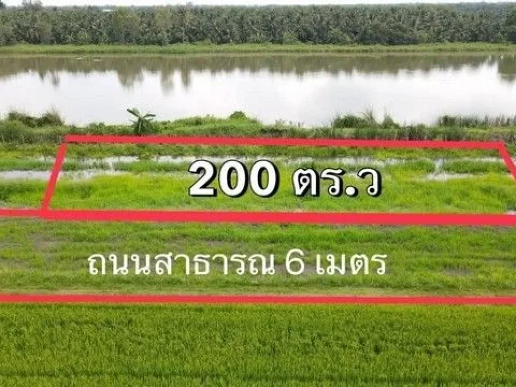 ที่ดิน 200 ตารางวา คลอง 8 บึงบอน หนองเสือ ปทุมธานี