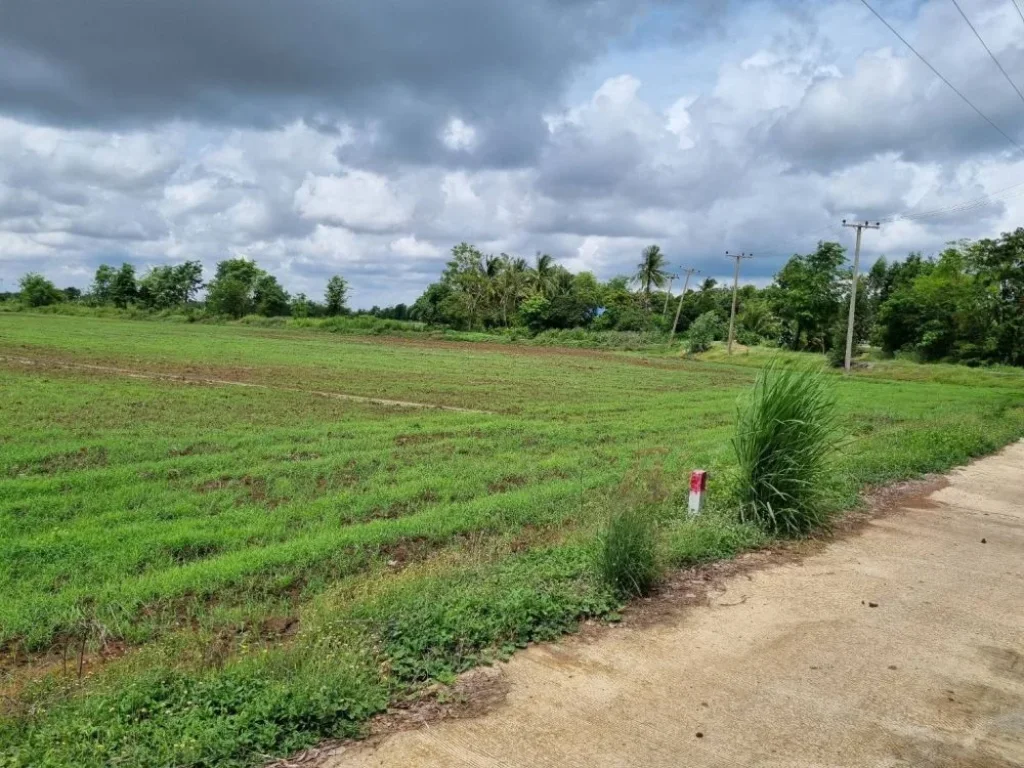 ขายที่ดิน ทำนา ทำการเกษตร ตวังกรด อบางมูลนาก จพิจิตร ติดถนน การเดินทางสะดวก