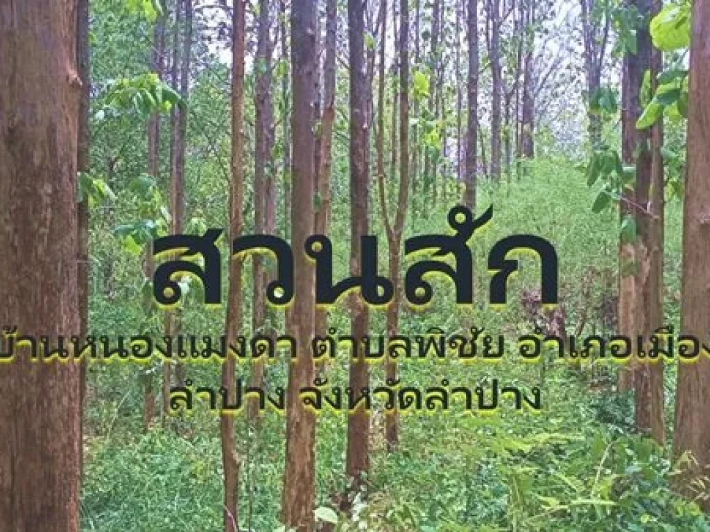 ขายที่ดินแปลงใหญ่มีโฉนดใน อเมืองลำปาง พร้อมต้นสัก ลงทะเบียนสวนป่าแล้ว