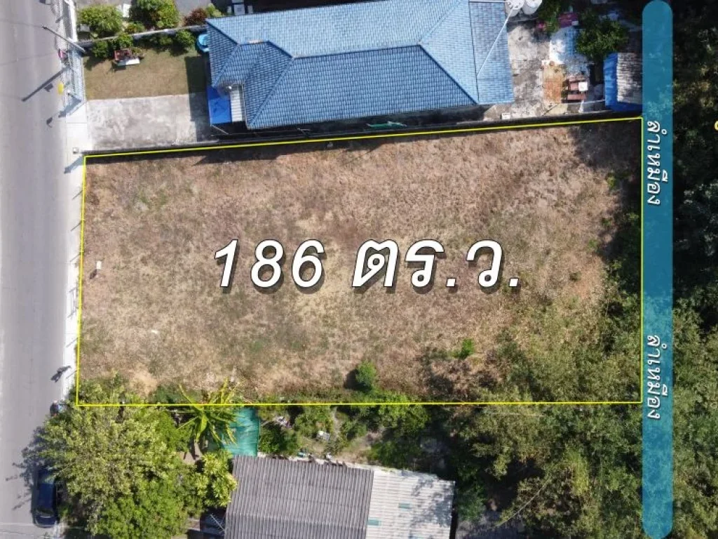 ที่ดิน 186 ตรว หน้าติดถนนหลักในหมู่บ้าน ระดับดินเท่าถนน