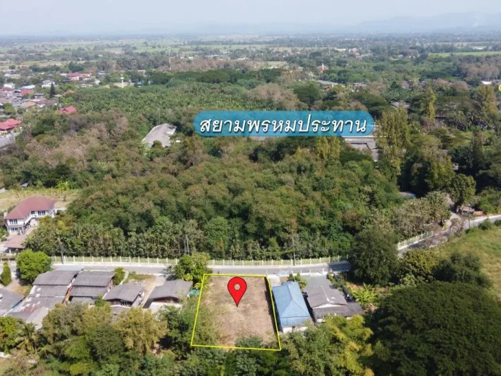 ที่ดิน 186 ตรว หน้าติดถนนหลักในหมู่บ้าน ระดับดินเท่าถนน