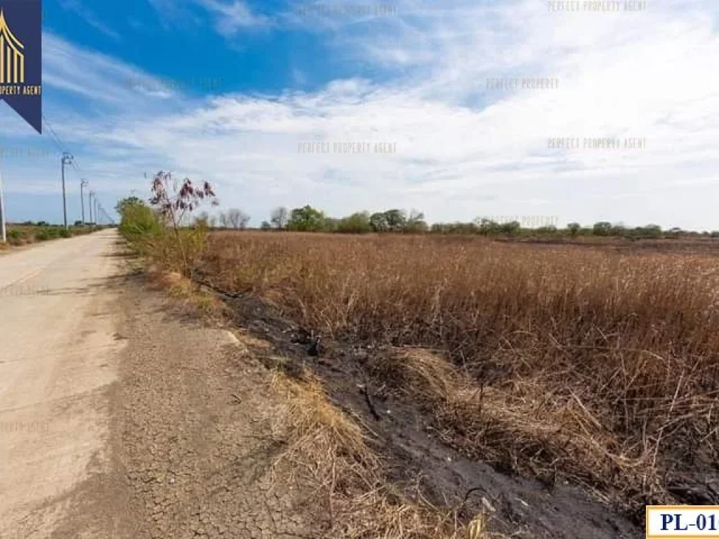 ที่ดินถมแล้ว ทำเลดี ถนนบางนาตราด กม33 คลองด่าน บางบ่อ สมุทรปราการ