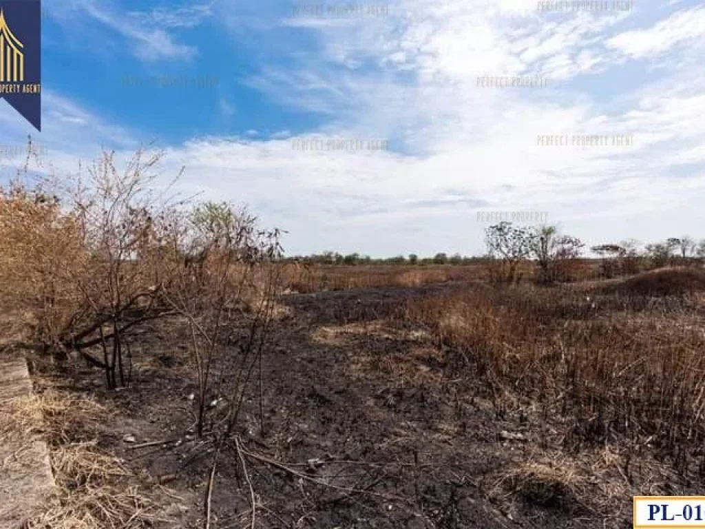 ที่ดินถมแล้ว ทำเลดี ถนนบางนาตราด กม33 คลองด่าน บางบ่อ สมุทรปราการ