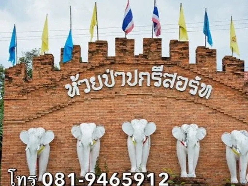 ขายเช่าบ้านในบ้านไร่ อุทัยธานี โครงการห้วยป่าปกรีสอร์ท บรรยากาศดี ท่ามกลางหุบเขา ใกล้สถานที่สำคัญหลายแห่ง