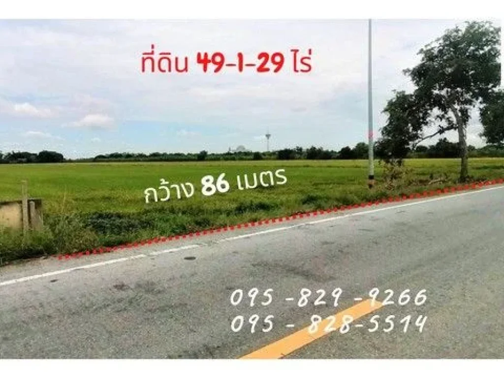 ขายที่ดิน 49-1-29 ไร่ ติดถนนหลักสาธารณะ 12 มใกล้ มชินวัตร สาธารณูปโภค บางเตย-สามโคก ปทุมธานี