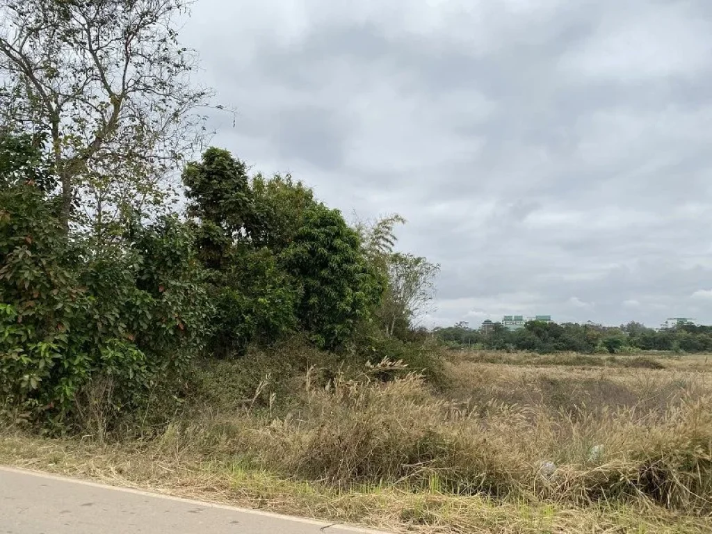 ที่ดินบ้านกำเนิดเพชร อเมือง จเลย วิวสวย อยู่ใกล้แหล่งชุมชน มราชภัฏเลย