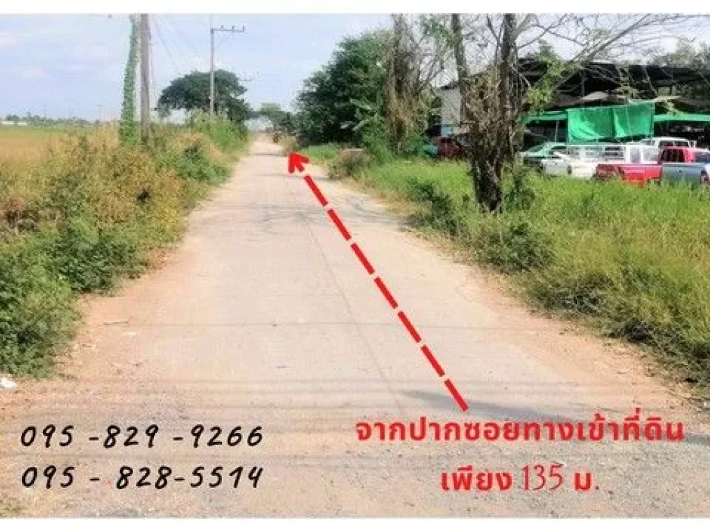 ขายที่ดิน 752 ตรว เลียบคลองห้า ตะวันออก เข้าซอยเพียง 135 ม ติดถนนสาธารณะ น้ำไฟฟ้า พร้อม ตคลองห้า อคลองหลวง จปทุมธานี