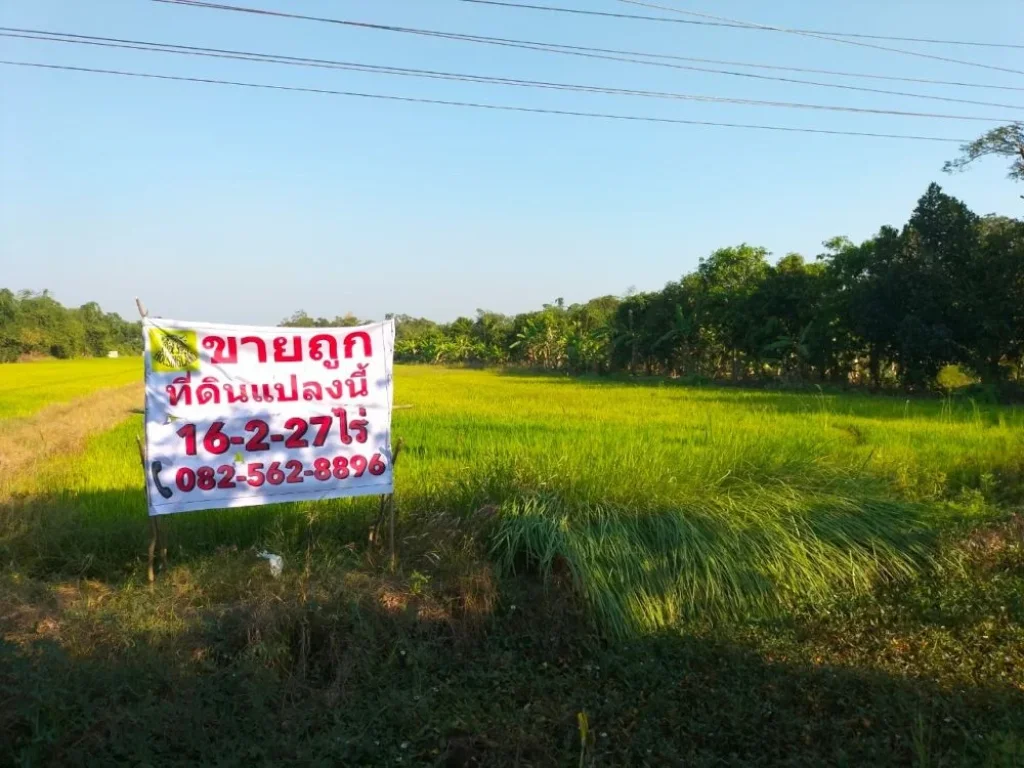 ขายที่ดินติดถนนใหญ่ถนนประชาสำราญ ตรงข้ามสวนพ่อใหญ่ ตำบลคลองสิบสอง อำเภอหนองจอก กรุงเทพมานคร