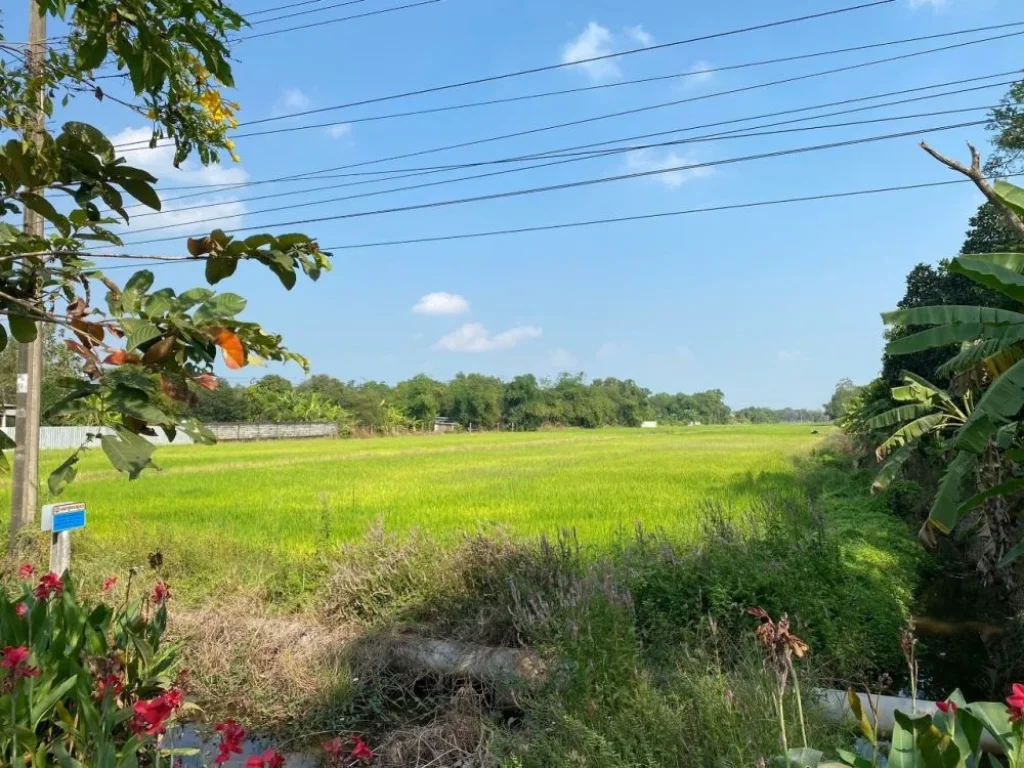 ขายที่ดินติดถนนใหญ่ถนนประชาสำราญ ตรงข้ามสวนพ่อใหญ่ ตำบลคลองสิบสอง อำเภอหนองจอก กรุงเทพมานคร