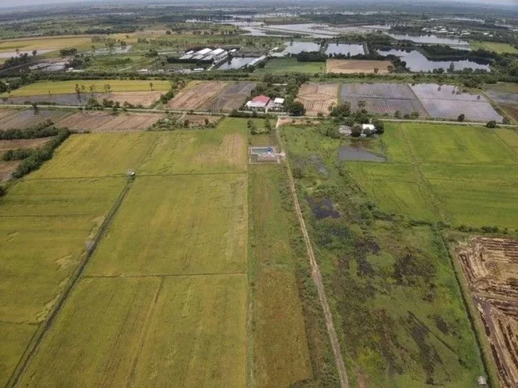 ที่ดินเงินสด แปลงถนนโยธาธิการ ตบ้านพริก อบ้านนา นครนายก 100 ตรว