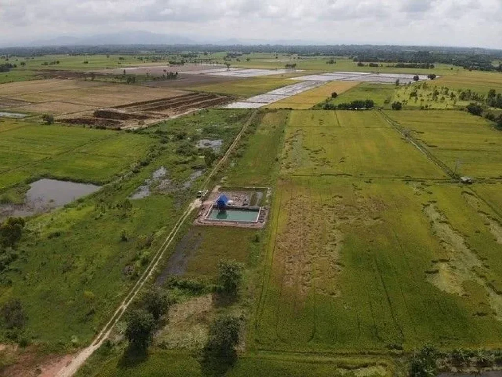 ที่ดินเงินสด แปลงถนนโยธาธิการ ตบ้านพริก อบ้านนา นครนายก 100 ตรว