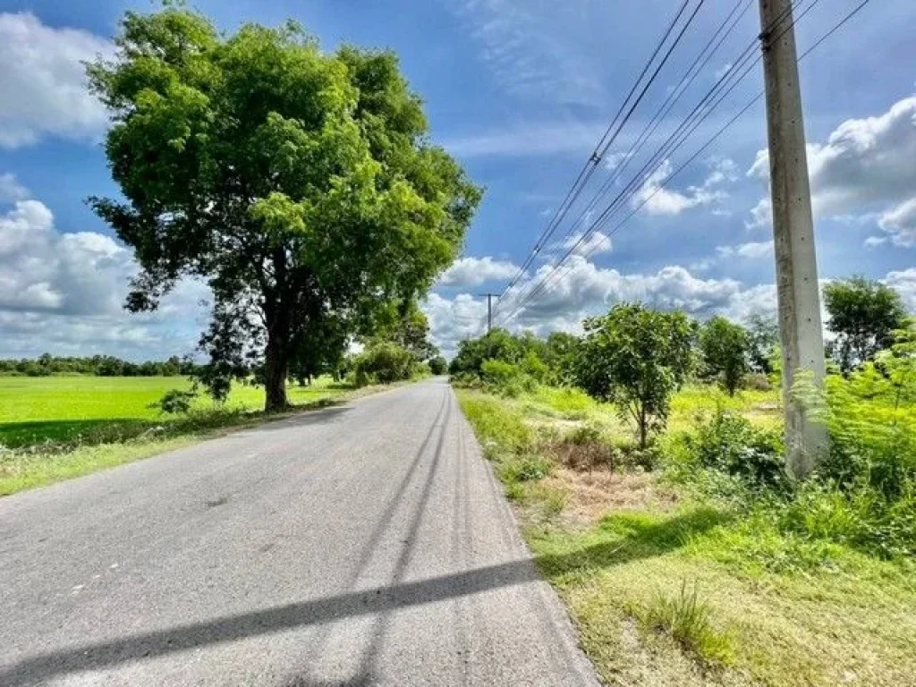 ที่ดินเงินสด แปลงถนนโยธาธิการ ตบ้านพริก อบ้านนา นครนายก 100 ตรว