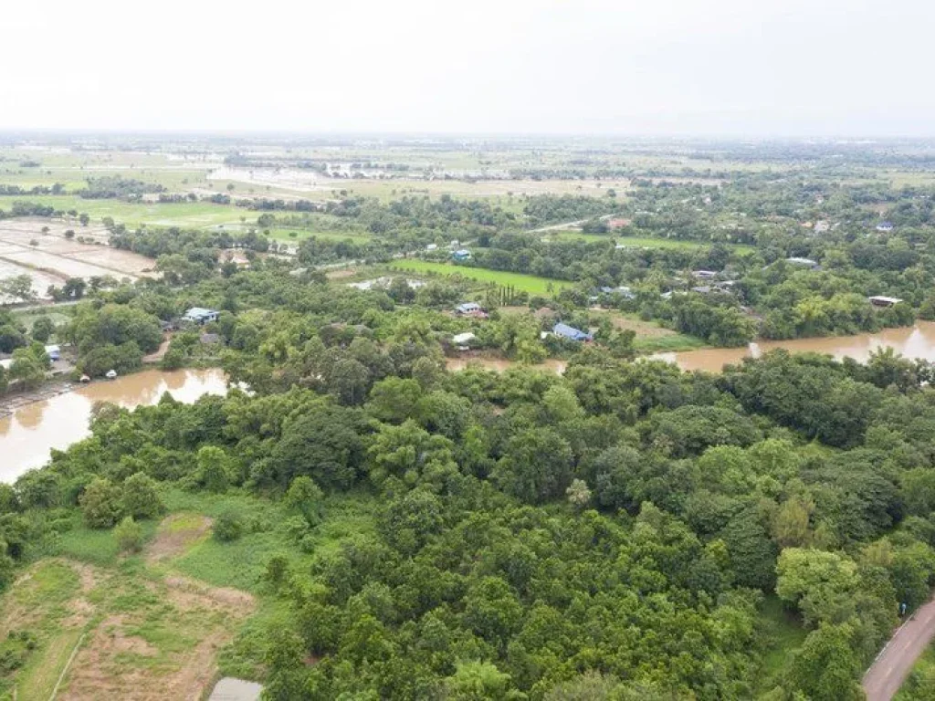 ขายที่ดินเปล่าปราจีนบุรี ติดแม่น้ำบางปะกง ใกล้ตัวเมืองปราจีน