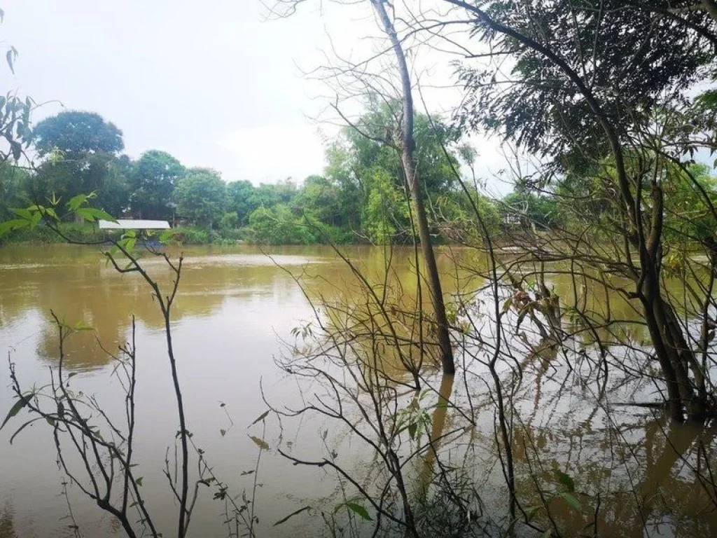 ขายที่ดินเปล่าปราจีนบุรี ติดแม่น้ำบางปะกง ใกล้ตัวเมืองปราจีน