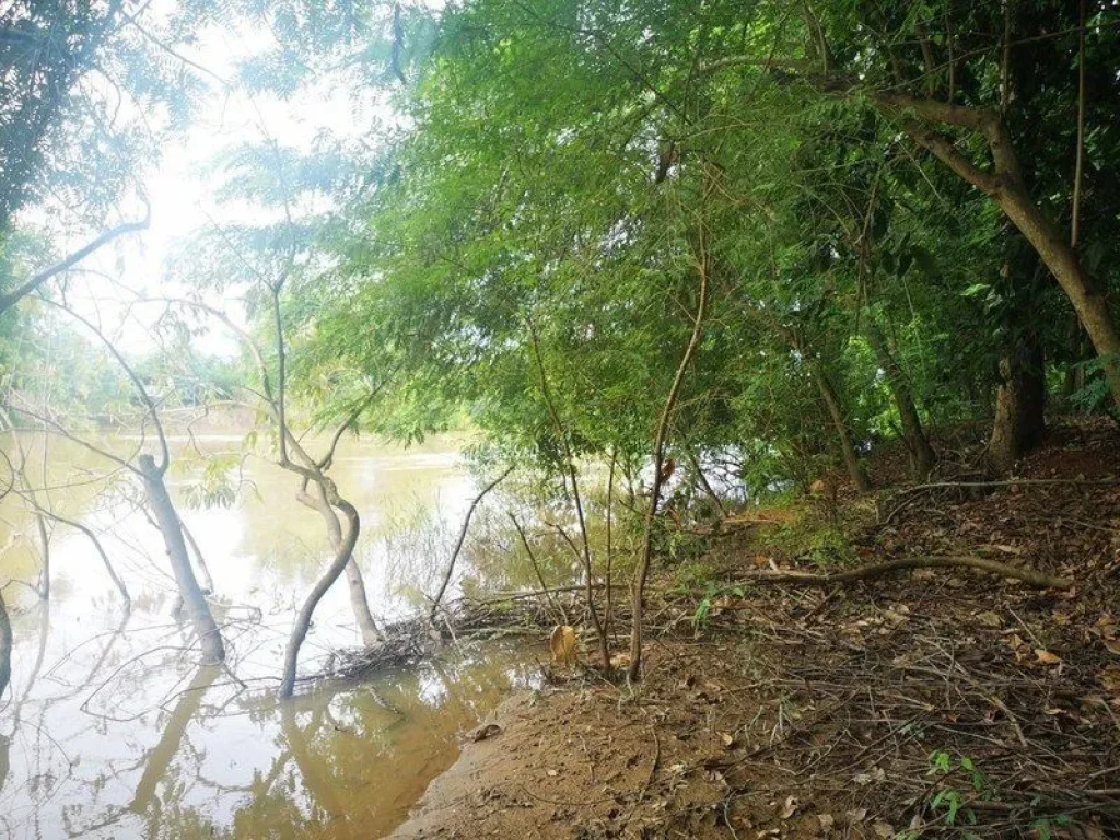 ขายที่ดินเปล่าปราจีนบุรี ติดแม่น้ำบางปะกง ใกล้ตัวเมืองปราจีน