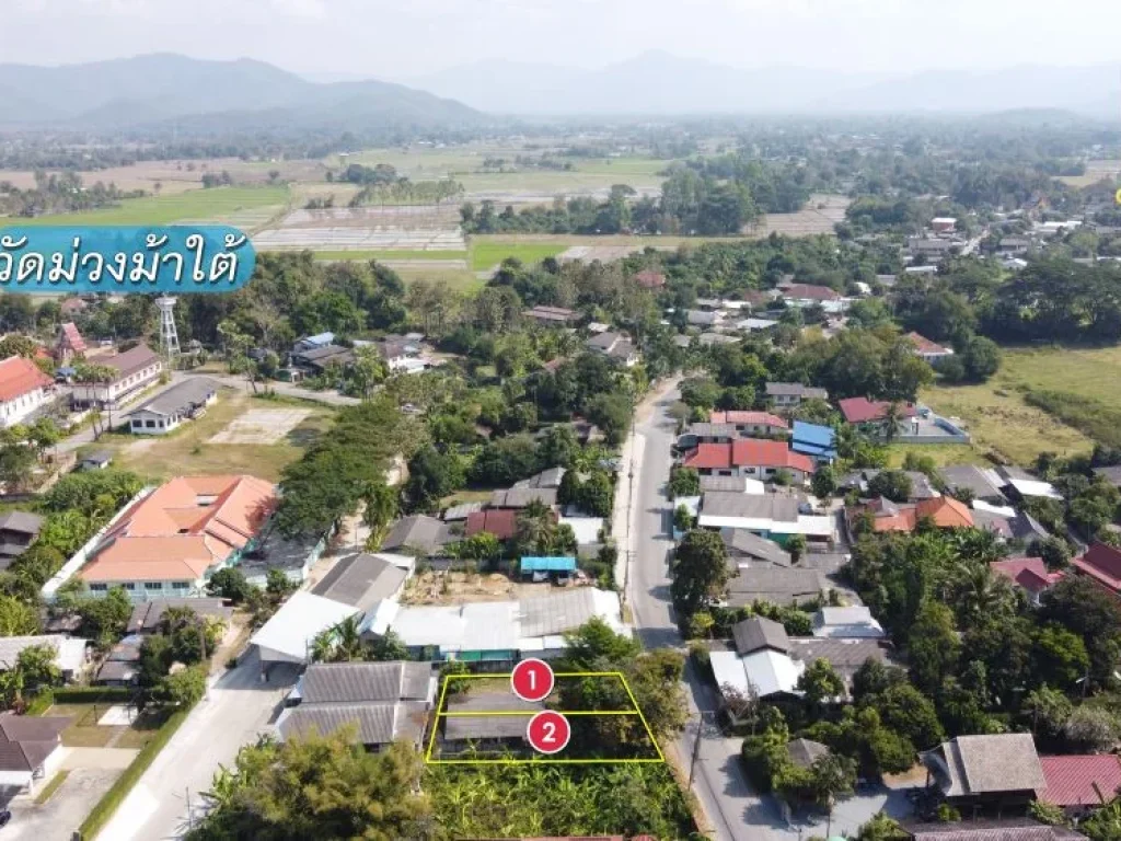 ที่ดิน 62 และ 63 ตรว หน้าติดถนนหลักในหมู่บ้าน สาธารณูปโภคพร้อม