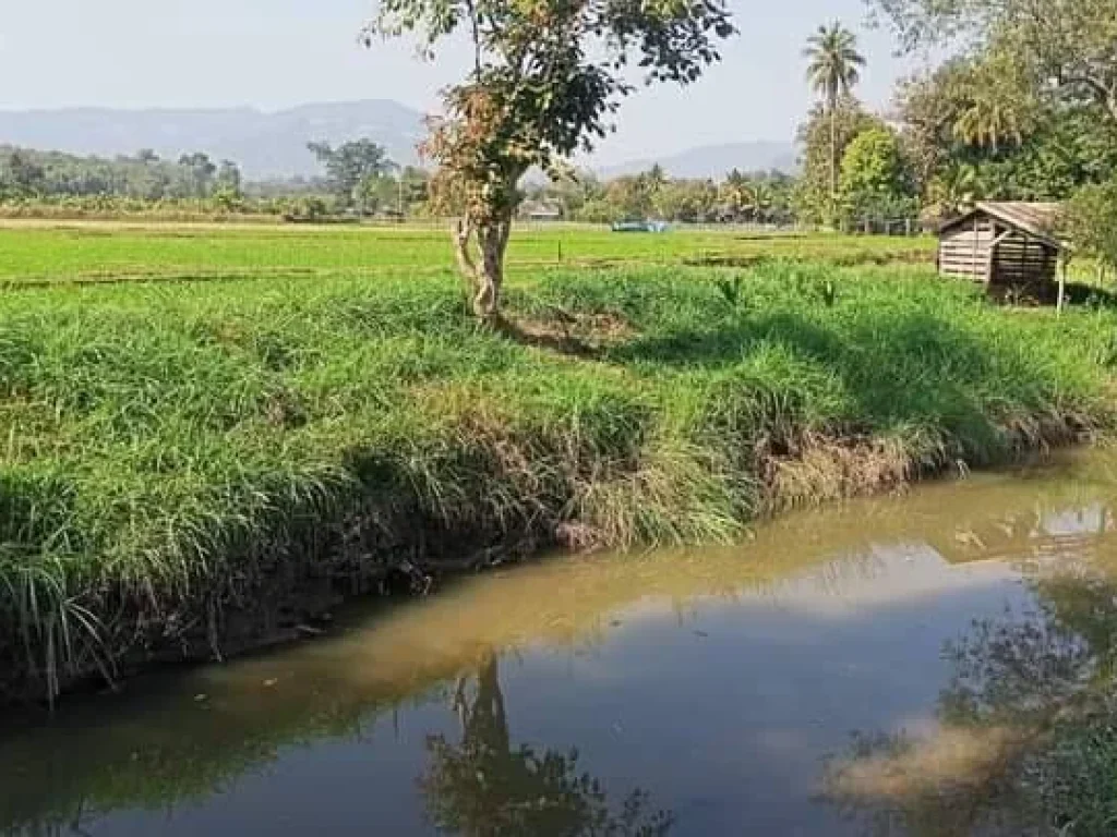 ขายบ้านสวนพร้อมที่ดินสบเปิงแม่แตงติดลำห้วยวิวดอยโฉนดพร้อมโอน