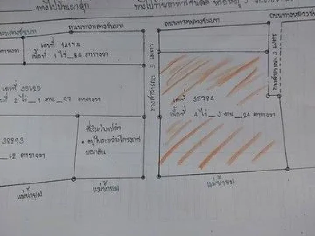 ขายที่ดิน ตป่าแมต ม14 อเมือง จแพร่ เป็นที่ติดแม่น้ำยม