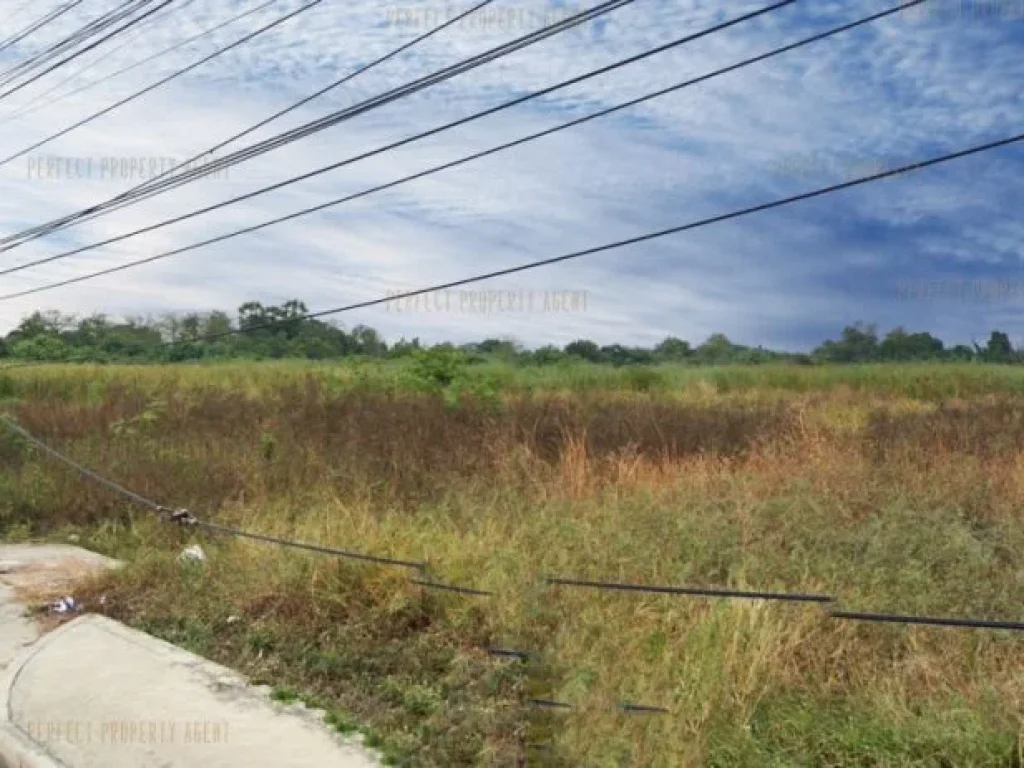 ที่ดินเปล่า เขตสะพานสูง กรุงเทพมหานคร ทำเลติดถนนใหญ่