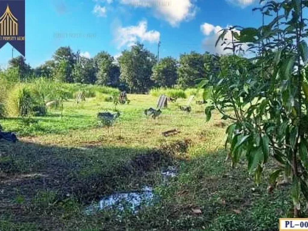 ที่ดิน สุวินทวงค์ 110 หนองจอก กระทุ่มราย กรุงเทพมหานคร