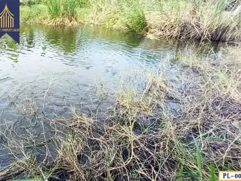 ที่ดิน สุวินทวงค์ 110 หนองจอก กระทุ่มราย กรุงเทพมหานคร