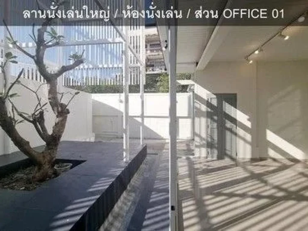 ให้เช่าบ้าน โฮมออฟฟิศ 2 ชั้น 105 ตรวา Renovated ใหม่ เหมาะทำธุรกิจ เดินทางสะดวก เสนานิคม 1 ย่านรัชโยธิน ใกล้ BTS เสนานิคม ADT629