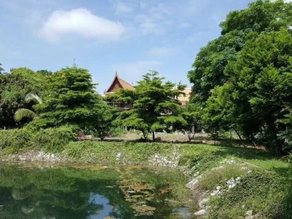 ขายที่ดินพร้อมบ้านทรงไทยเรือนหมู่ 3 หลัง จ สระบุรี บรรยากาศดีเหมาะทำรีสอร์ท