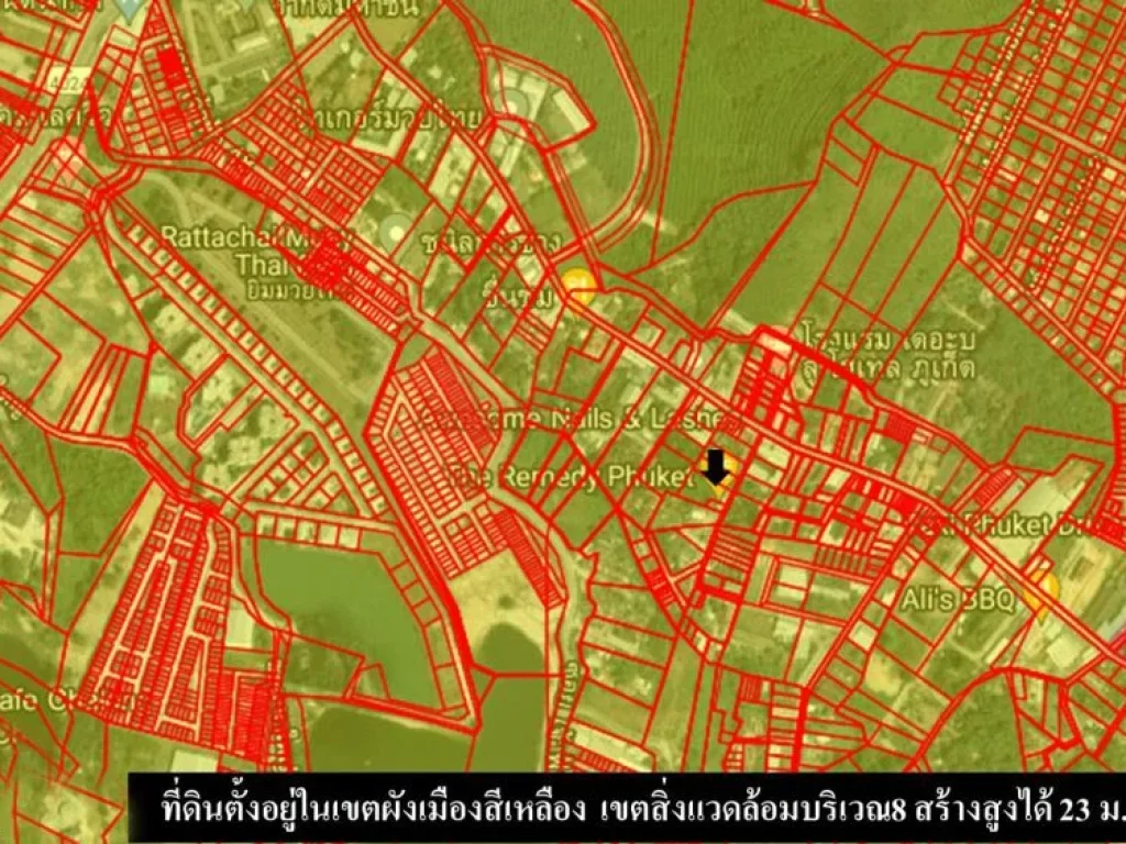 ที่ดินเปล่า ซตาเอียด10 1-2-248ไร่ เอกสารสิทธิ์เป็นโฉนด ผังเมืองสีเหลือง