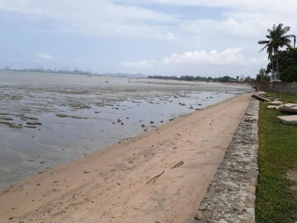 ขายหรือให้เช่า ที่ดินติดทะเล ที่ดินติดชายหาดส่วนตัว ไม่มีถนนขั้น พัทยา บางละมุง หน้ากว้างสวย ราคาถูก พร้อมใบอนุญาติก่อสร้างโรงแรม