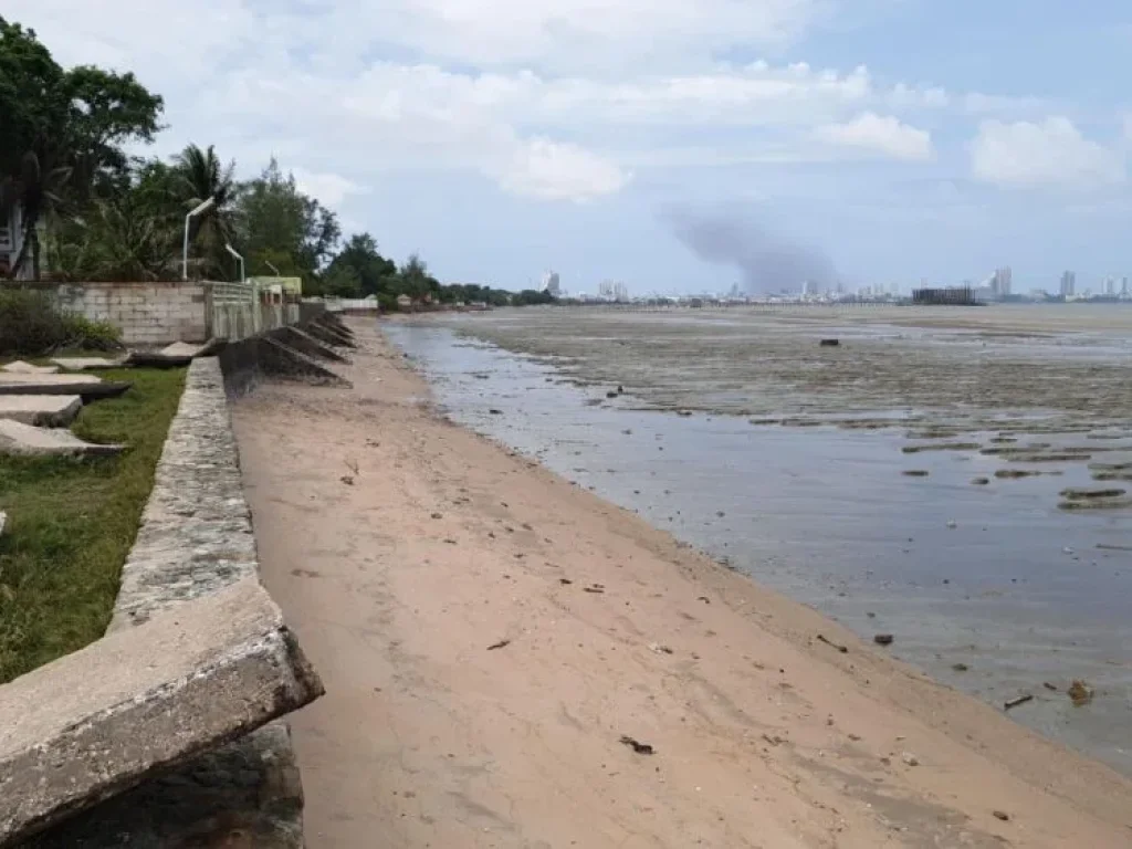 ขายหรือให้เช่า ที่ดินติดทะเล ที่ดินติดชายหาดส่วนตัว ไม่มีถนนขั้น พัทยา บางละมุง หน้ากว้างสวย ราคาถูก พร้อมใบอนุญาติก่อสร้างโรงแรม