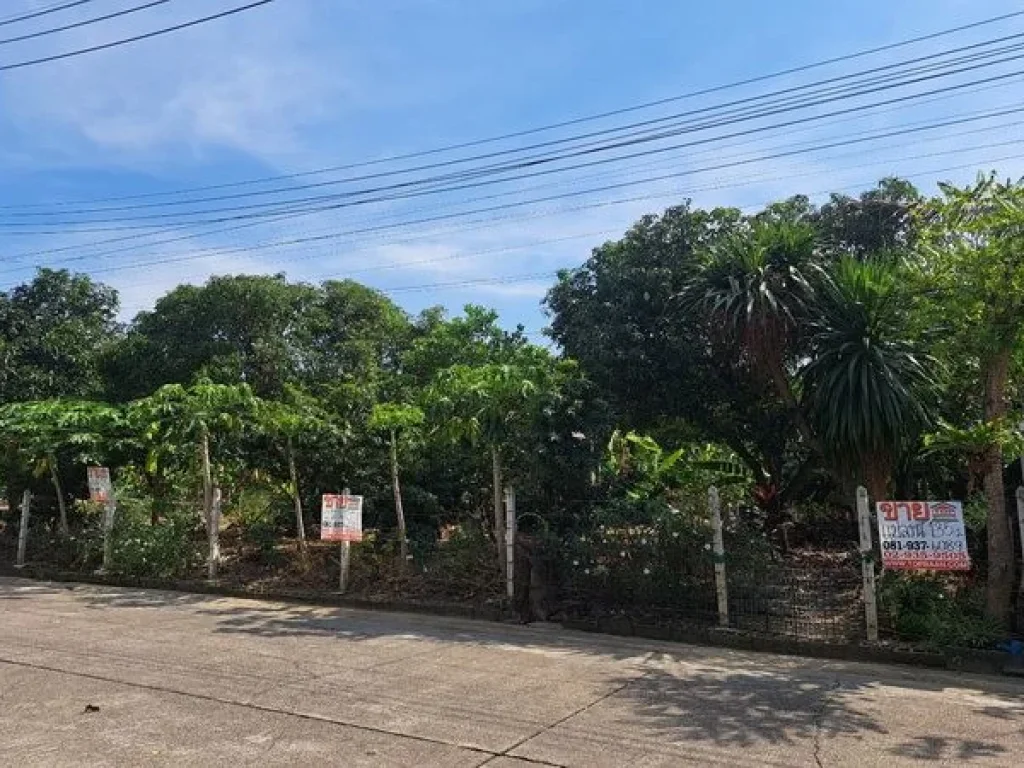 ขายที่ดินหมู่บ้านสาวิตรี ถนนพุทธมณฑลสาย3 บรมราชชนนี เขตทวีวัฒนา กรุงเทพมหานคร