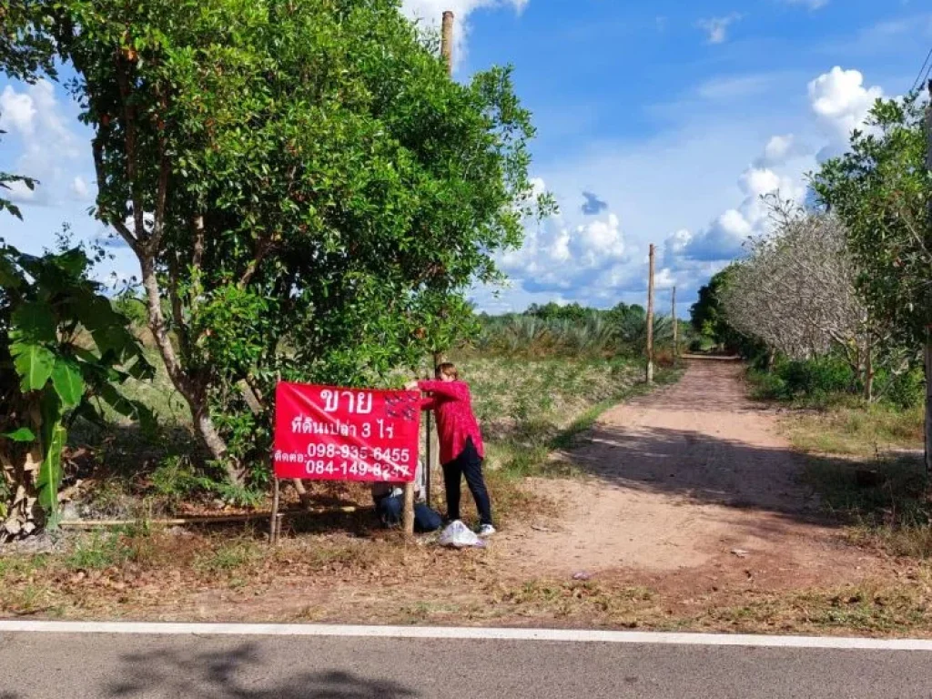 ที่ดินเปล่า 3 ไร่ จังหวัดอุบลราชธานี ใกล้สถานที่ท่องเที่ยวทางธรรมชาติแก่งลำดวนกุ้งเดินขบวน